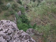 lto del Cane20100602 075